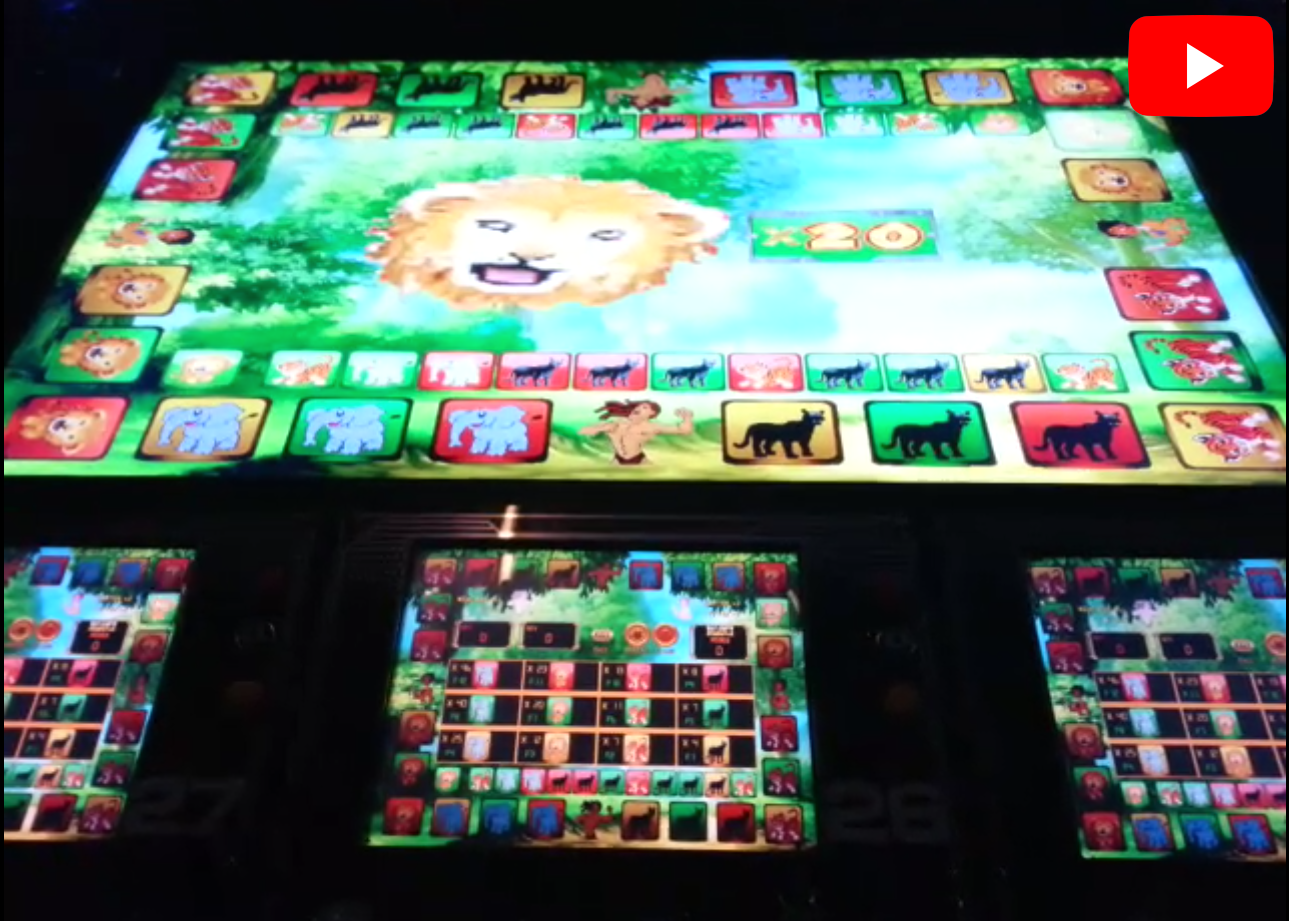 videos/phk_machine_002.mp4